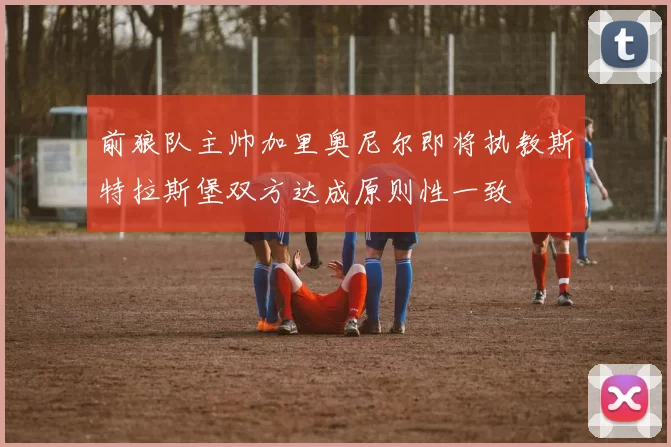前狼队主帅加里奥尼尔即将执教斯特拉斯堡双方达成原则性一致